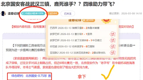 费耶诺德后卫回忆圣西罗佳话；国际米兰实乃杰出之师